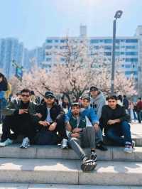 Seongnam: A Harmonious Blend of Tradition and Modernity