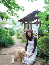คาเฟ่เชียงใหม่ที่เหมือนได้มาเที่ยวญี่ปุ่น