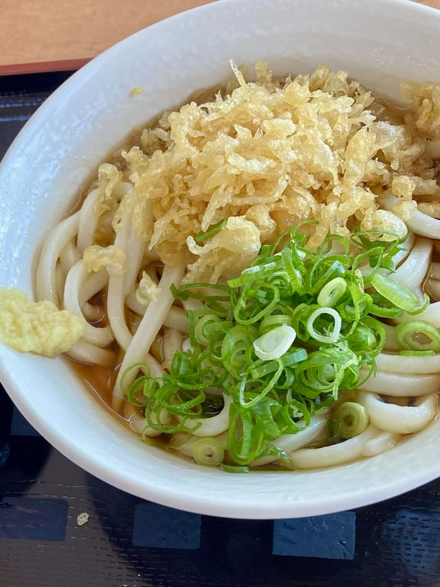 A Local Day in Takamatsu – Gardens, Udon & a Castle-like Dam