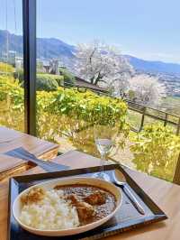 Local Escapes in Katsunuma – Gardens, Curry & a Hint of Wine
