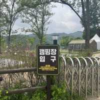 강천섬 캠핑장