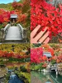 Discovering Kyoto: The Timeless Cultural Heart of Japan