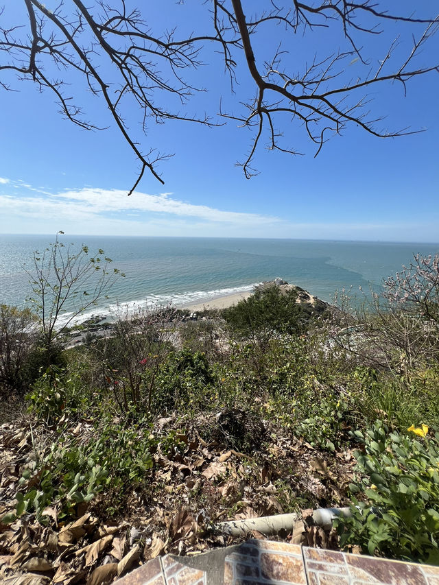24-hour trip to Vung Tau