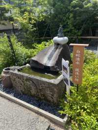 【東京都品川🇯🇵 蛇窪神社】東京の白蛇さまへ☺️