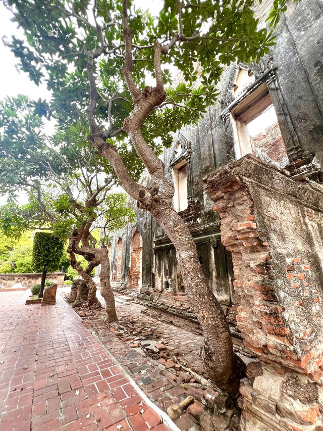 Where history meets mischief — exploring