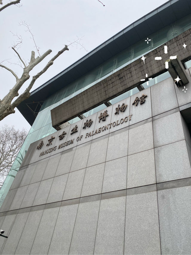 南京 古生物🦕博物館 🦖 自然科普 教育基地