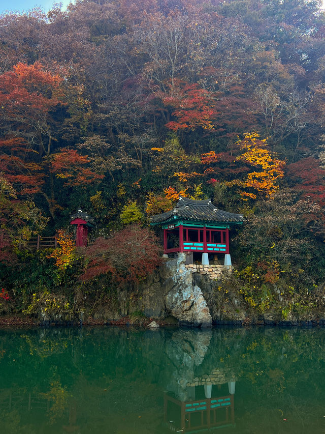청주 상당산성 나들이 💚
