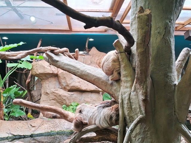 【栃木】動物を近くでみられる那須どうぶつ王国が楽しい！
