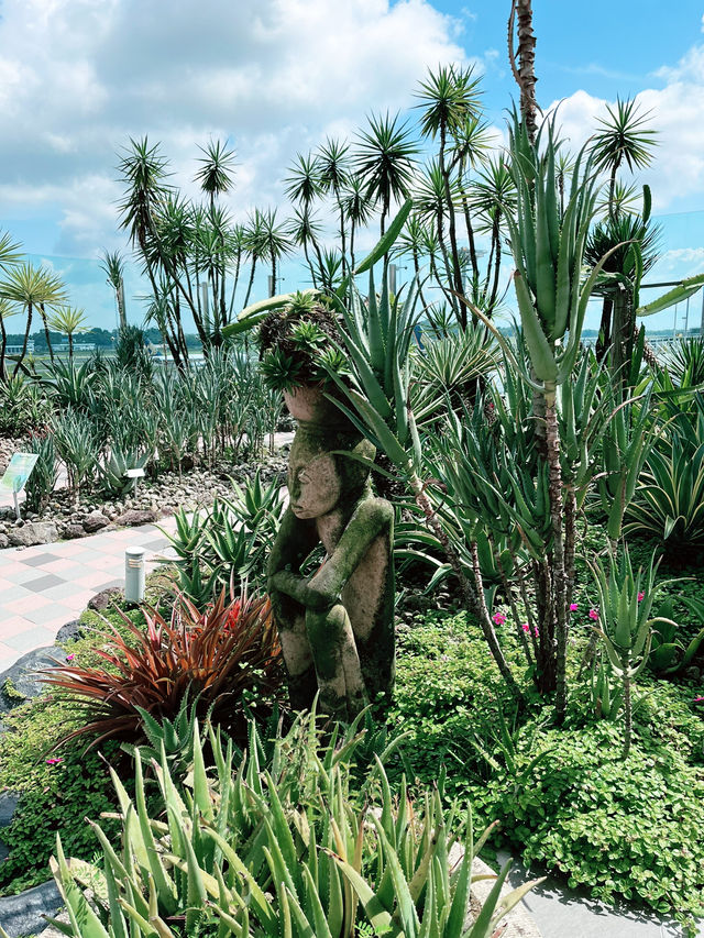 Spring Escape: A Blooming Journey Through Singapore’s Cactus Garden