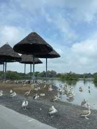 Wildlife experience in Safari World Bangkok