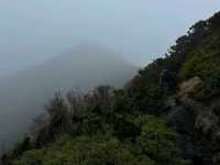 Where Mossy Trails Meet Epic Views