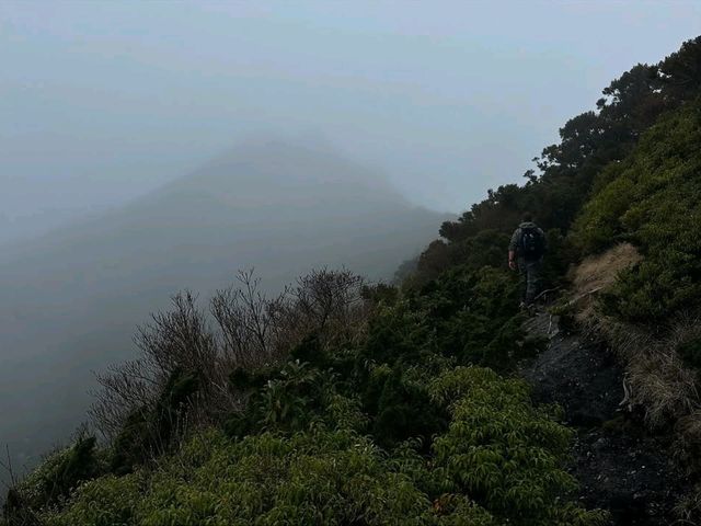 Where Mossy Trails Meet Epic Views