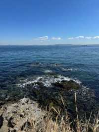 東京からすぐ行ける秘境🫣🌿豊かな自然と済んだ海の美しい無人島🏝