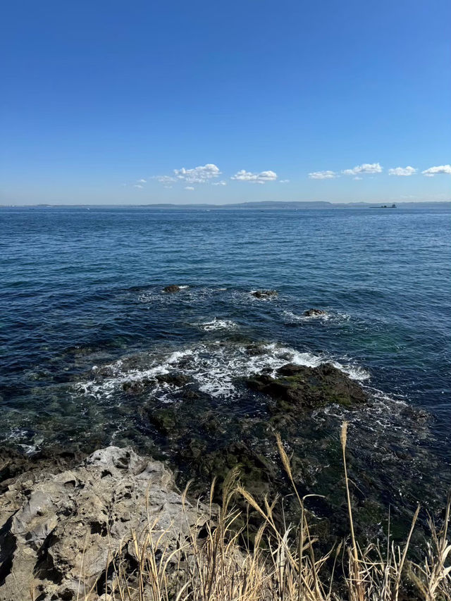 東京からすぐ行ける秘境🫣🌿豊かな自然と済んだ海の美しい無人島🏝