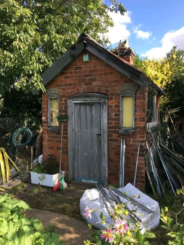 Whispers of Spring at Stoney Road Allotments 