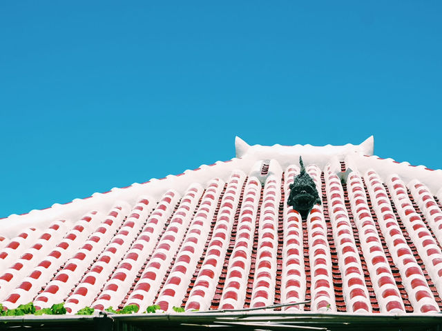 石垣島🇯🇵 直奔海島天堂只需 2小時