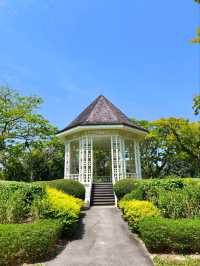 Tropical Oasis: Singapore Botanical Gardens