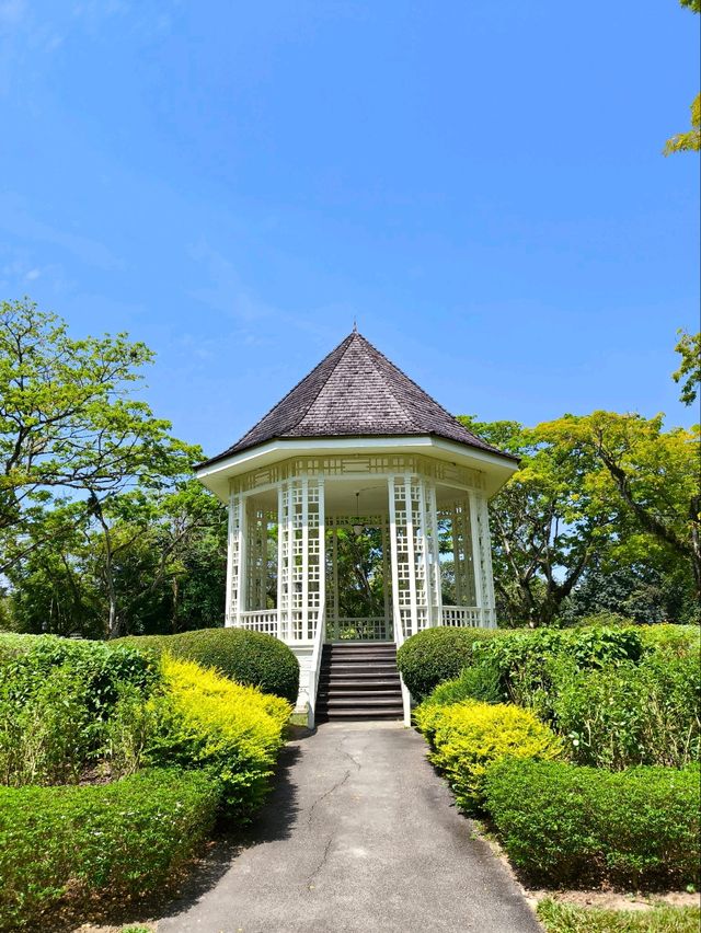 Tropical Oasis: Singapore Botanical Gardens