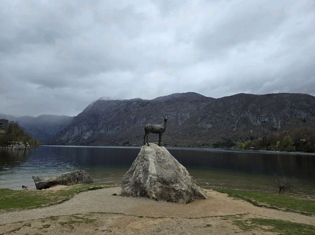 Lake Bohinj 