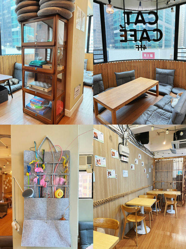旺角樓上貓咖啡店
