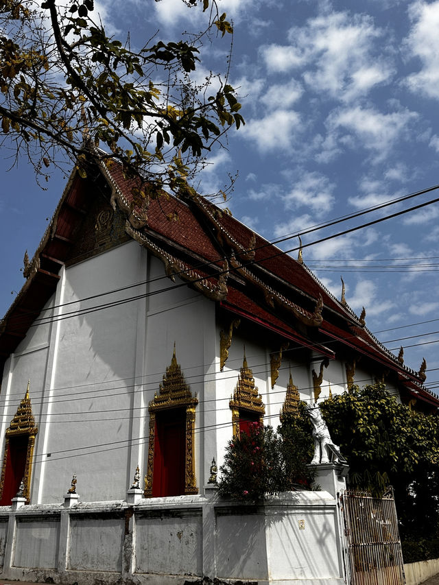 15 popular hostels in chiang mai 