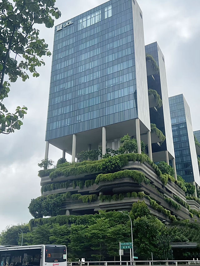 เที่ยวสิงคโปร์กันเถอะทุกคน🇸🇬
