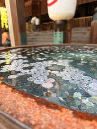 香川｜一日元求心願達成的旭社 40年才完工的日本重要文化財
