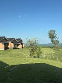 아름다운 아소산자락의 🏞️ 자연경관 속 산장체험의 오이타현 이색 힐링 여행지 추천