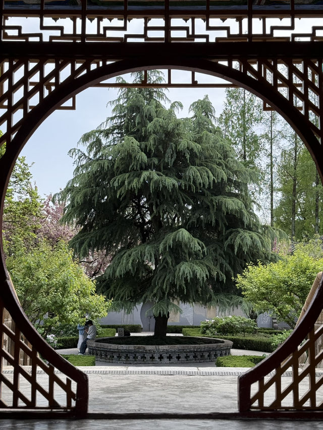 A local museum focused on Han Dynasty