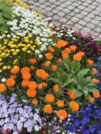 Seoul forest 서울숲 