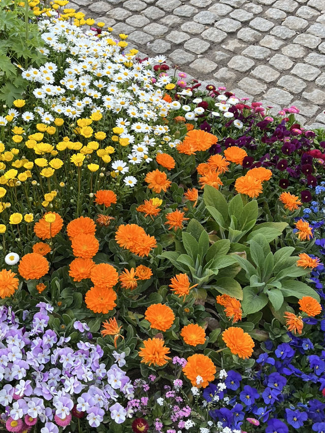 Seoul forest 서울숲 