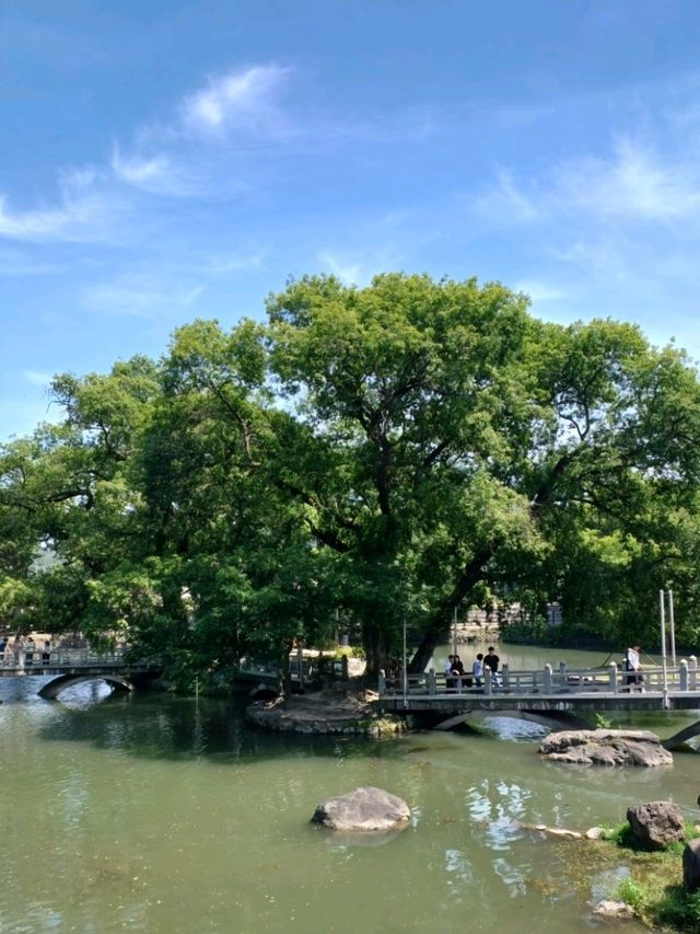 연못 위 전통미, 함안 무진정에서의 봄 데이트 🌸