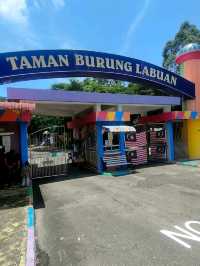 Labuan Bird Park - Various Types Species of Birds in Labuan, Malaysia