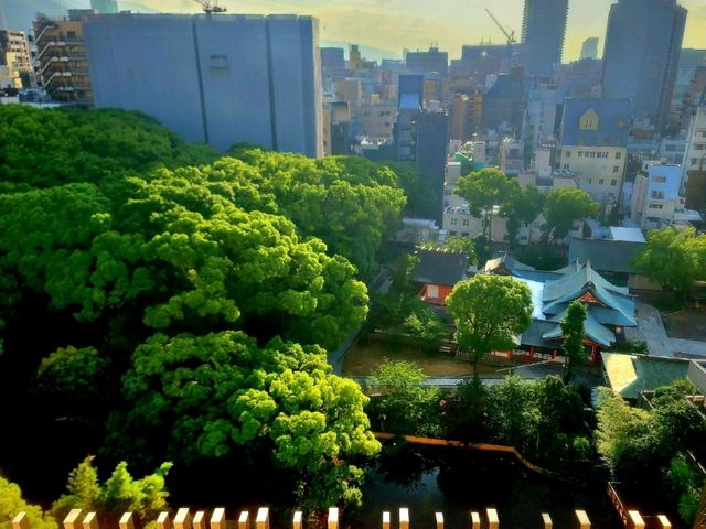 호텔 몬테 에르마나 고베 아마리(Hotel Monte Hermana Kobe Amalie)