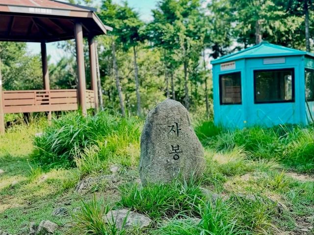 Bongrae Mountain. Short Hike, Big Vibes