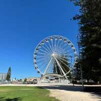 Perth's Fremantle: An Easy Train Ride to a Charming Coastal Town! 🚂🇦🇺