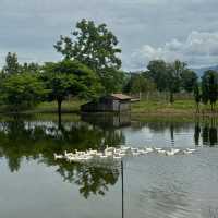 คาเฟ่เชียงดาว ฟีลต่างประเทศสุดๆ 🏞️🪿