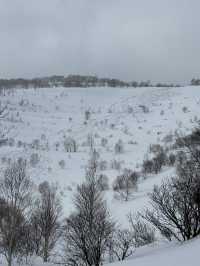 Book a backcountry tour