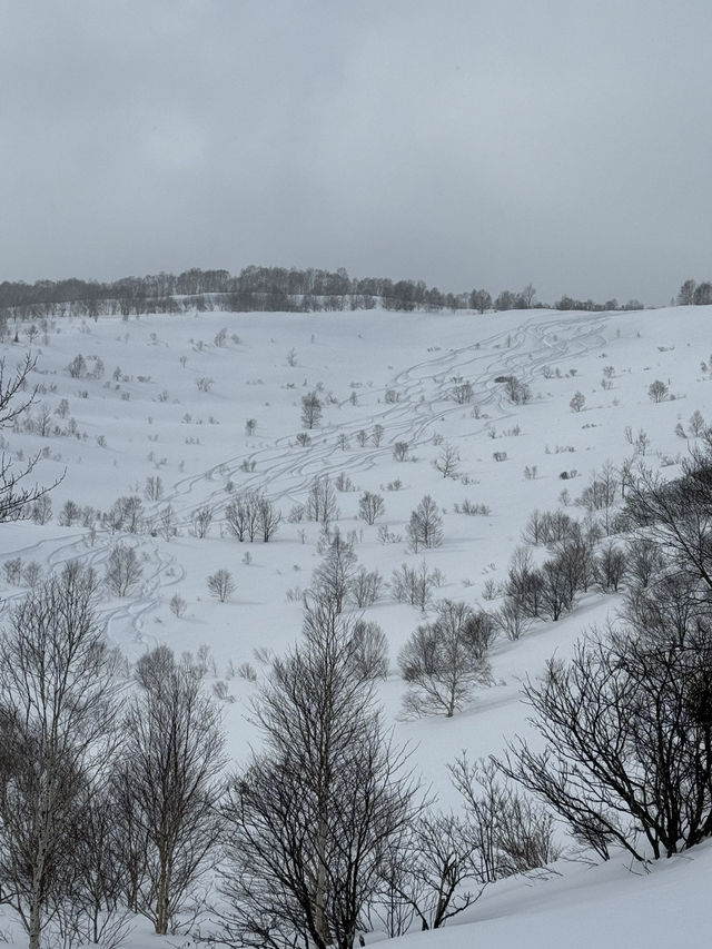 Book a backcountry tour