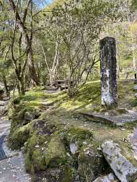 Into the Gorge: A Dreamy Day Trip from Fukuoka to Takachiho