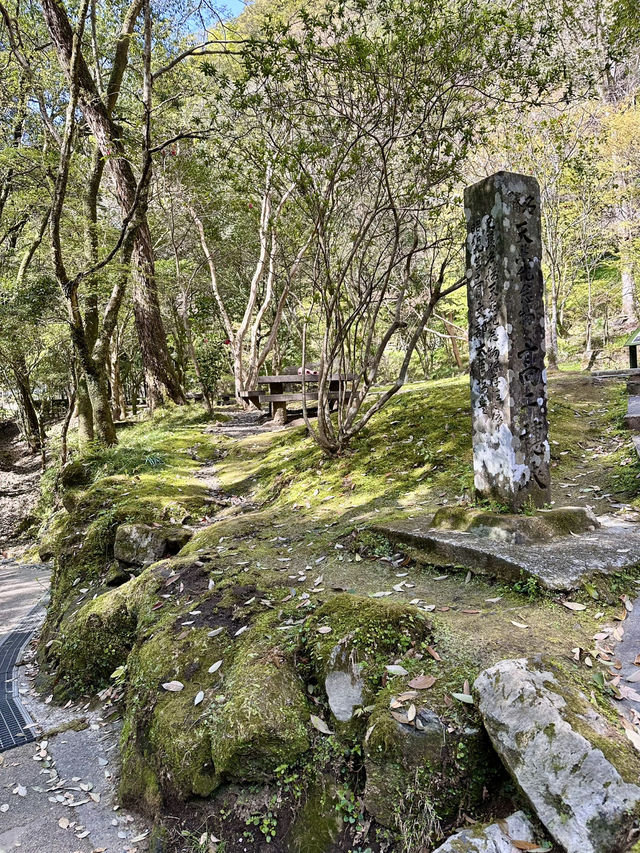 Into the Gorge: A Dreamy Day Trip from Fukuoka to Takachiho