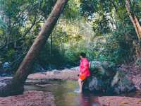 📍 The Hidden Falls ในสวนลับ