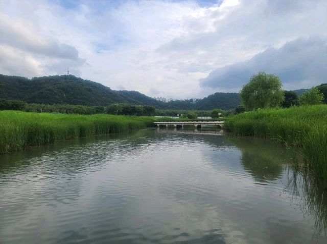 태화강 국가정원 (울산 가볼만한 곳)