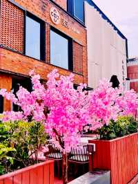 🎡 Weekend Wonderland in Beijing | A Full-Day Guide to Solana 蓝色港湾 ☕️🛍️🌸