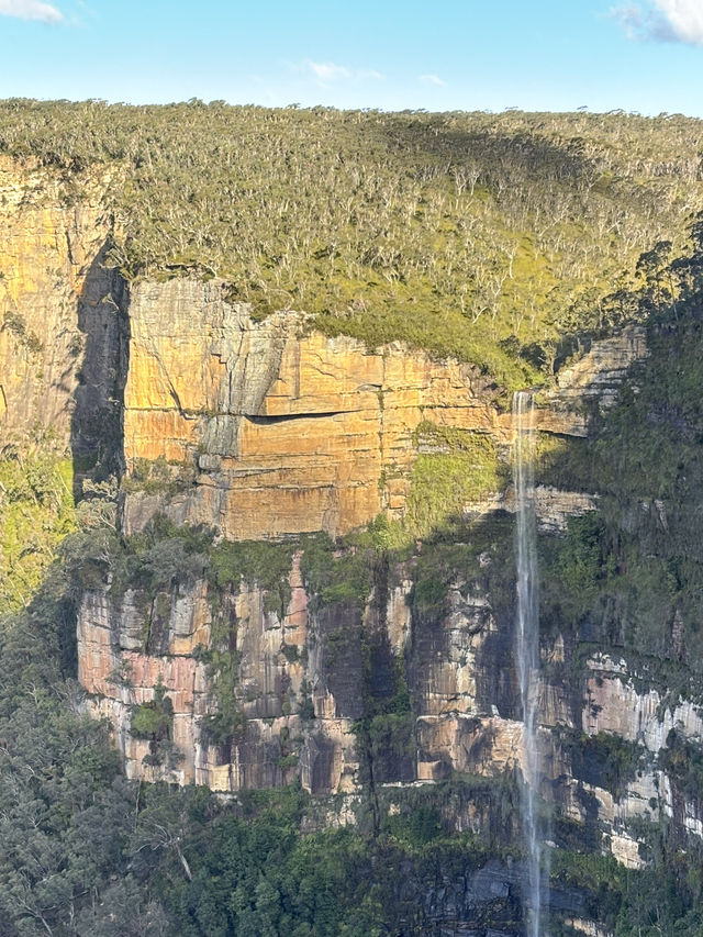 8 days in Sydney!