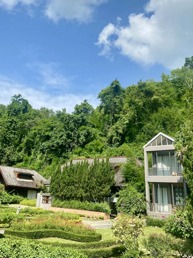 숲 속의 별장 분위기와 🏞️야외 수영장이 있는 머무르기 좋은 치앙마이 여행지💚