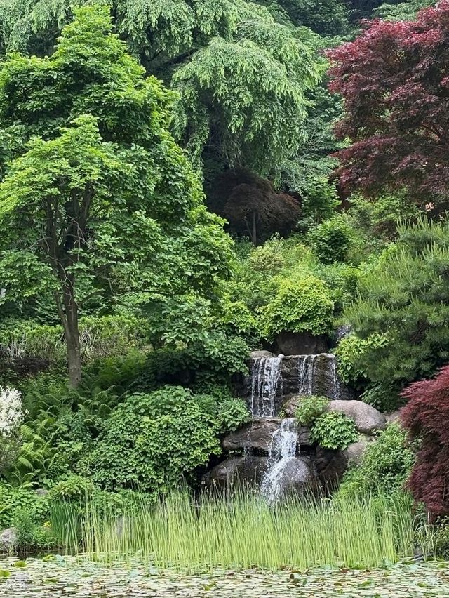 Wandering Around Achimgogyo Arboretum