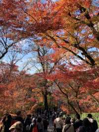 【京都🇯🇵】紅葉🍁が美しい秋の永観堂へ
