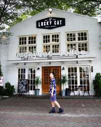 Sunlit Spaces and Chill Vibes at Lucky Cat Coffee & Kitchen