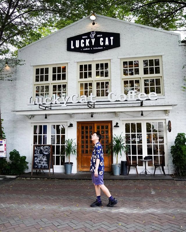 Sunlit Spaces and Chill Vibes at Lucky Cat Coffee & Kitchen